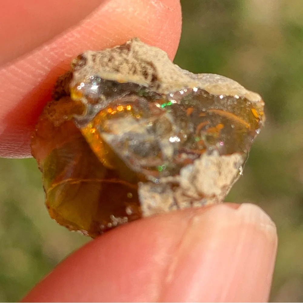 Dark Welo 6.60Ct Very Rare Ethiopian Dark Base Welo Opal Rough